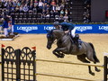 Jolie vh Molenhof - Werner Muff