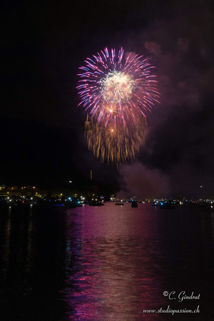 Photos des feux de la fête du Lac de Bienne