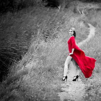 Shooting Laura